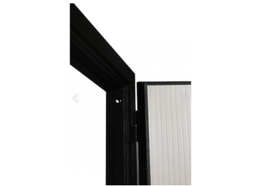 Входная дверь модель 9-1