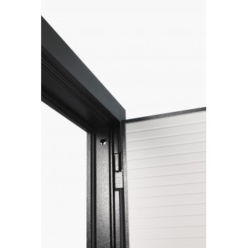 Входная дверь модель 10-2