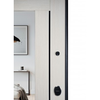 ПРОМЕТ «Марс Зеркало» | Входная металлическая дверь