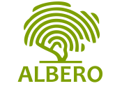  ALBERO